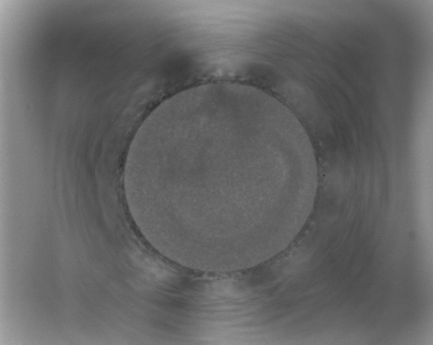 X0000065950769200603241820
