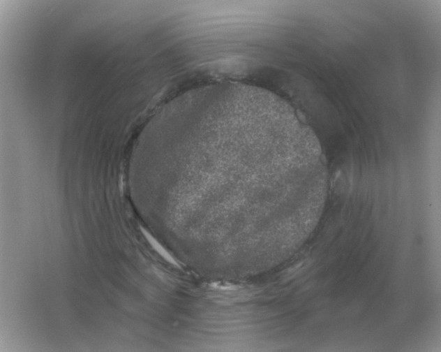 X0000065950772200603241820