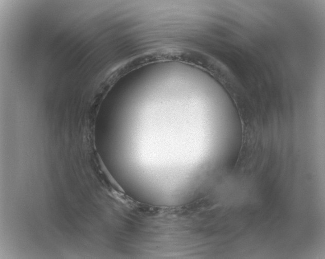 X0000065950773200603241820