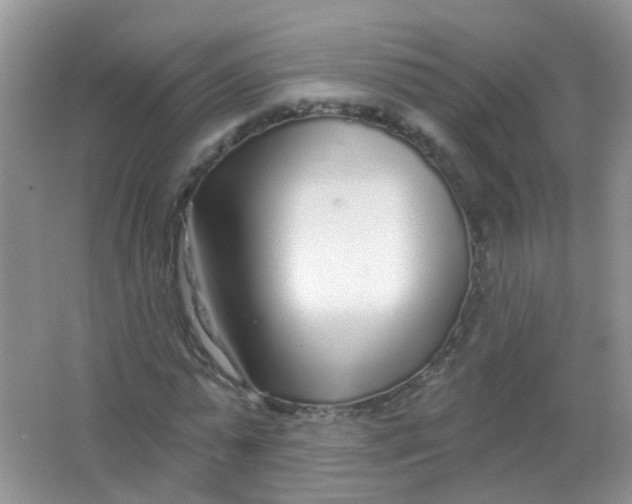 X0000065950775200603241820