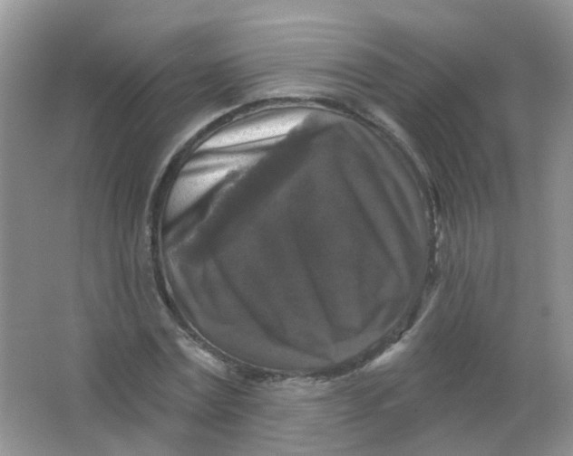 X0000065950779200603241820