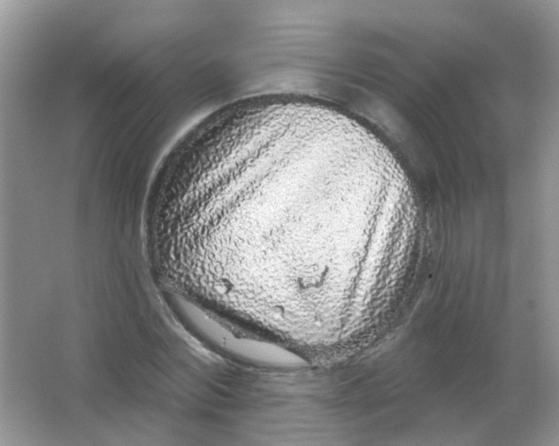 X0000065950780200603241820