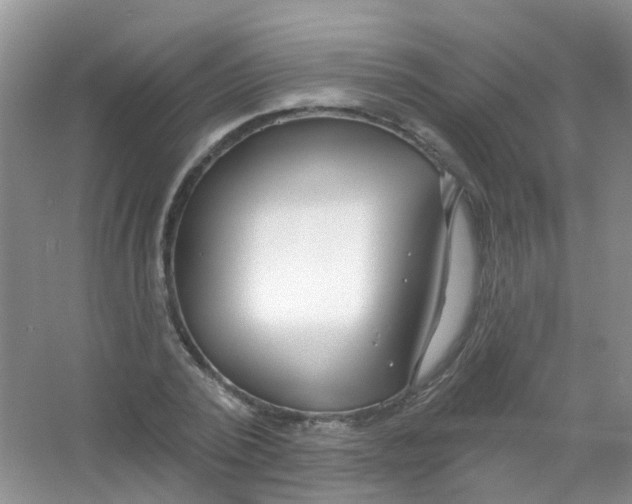 X0000065950784200603241820