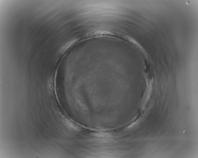 X0000065950785200603241820