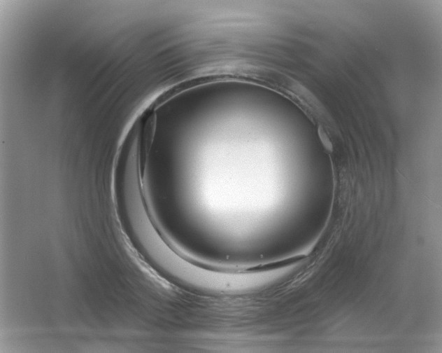 X0000065950788200603241820