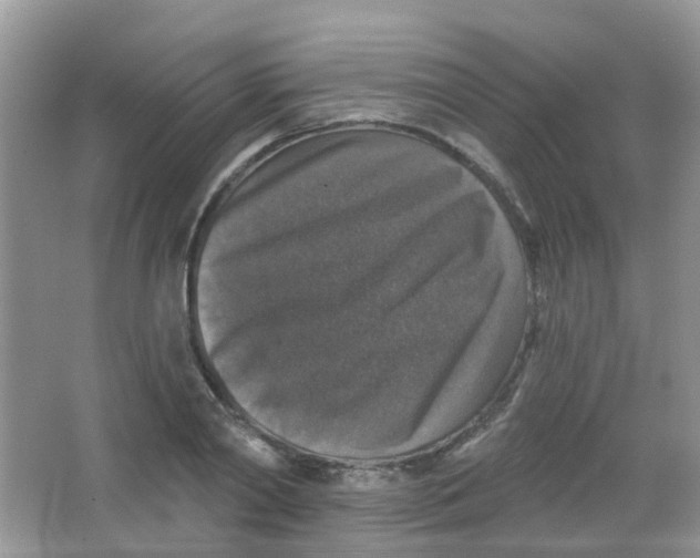 X0000065950790200603241820