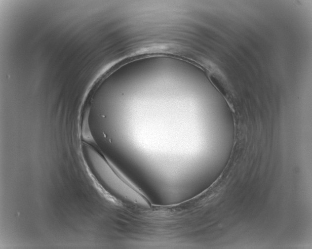 X0000065950792200603241820