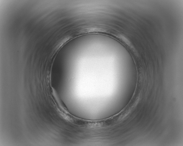 X0000065950793200603241820