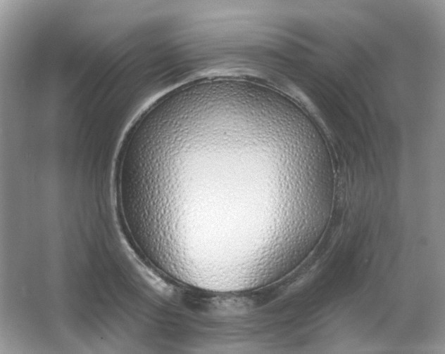 X0000065950795200603241820