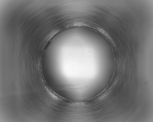X0000065950801200603241819