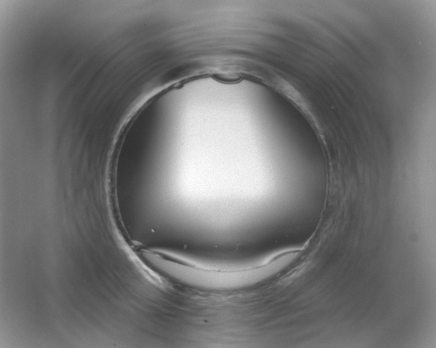 X0000065950803200603241819