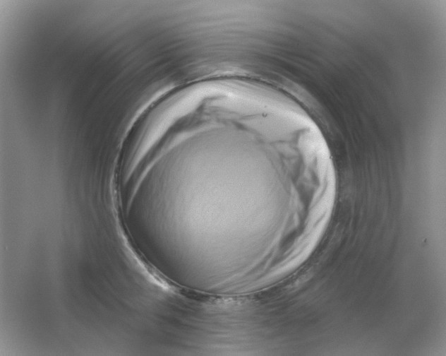 X0000065950806200603241819