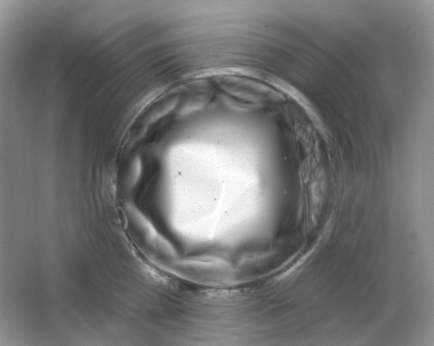 X0000065950809200603241819
