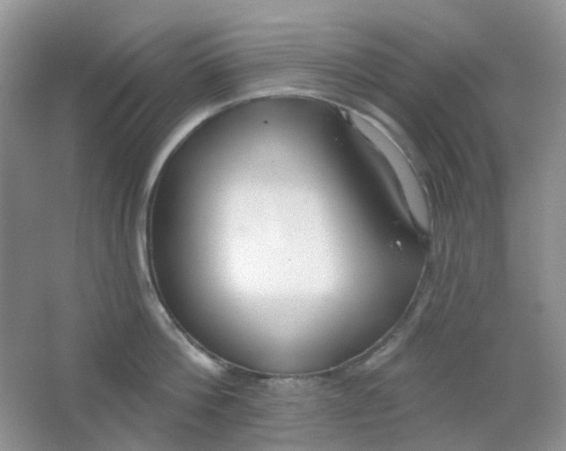 X0000065950812200603241819