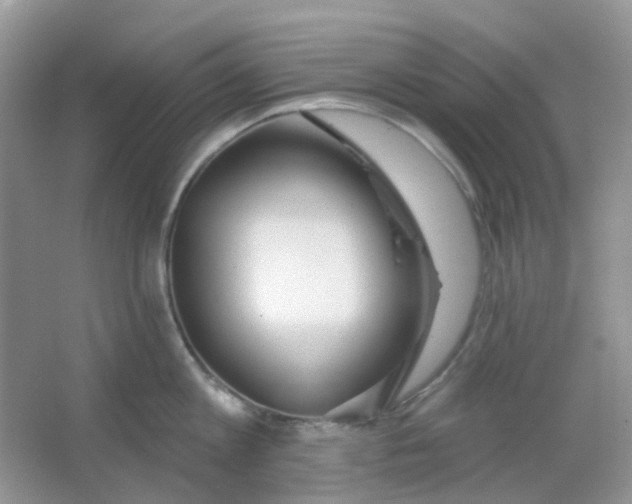 X0000065950813200603241819