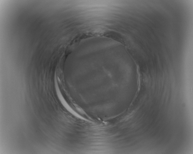 X0000065950818200603241818