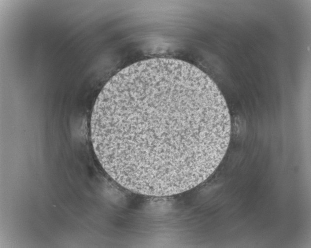X0000065950820200603241818