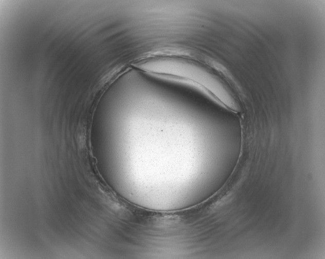 X0000065950833200603241819