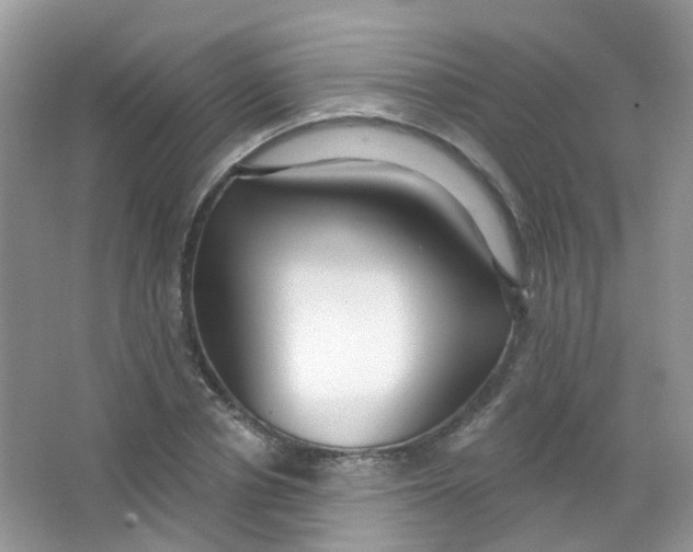 X0000065950834200603241819