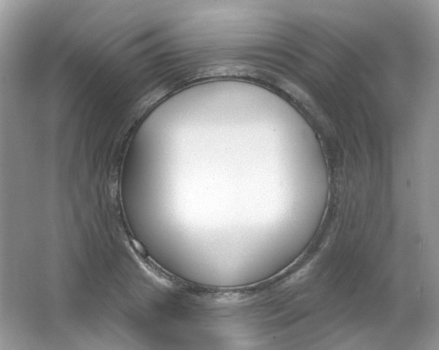 X0000065950841200603241819