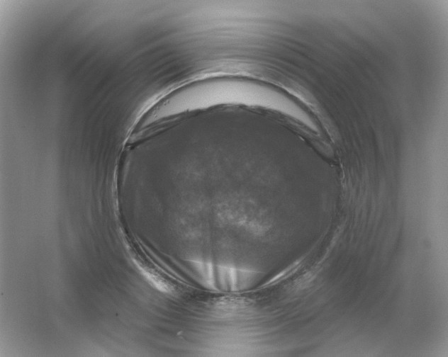 X0000065950842200603241819
