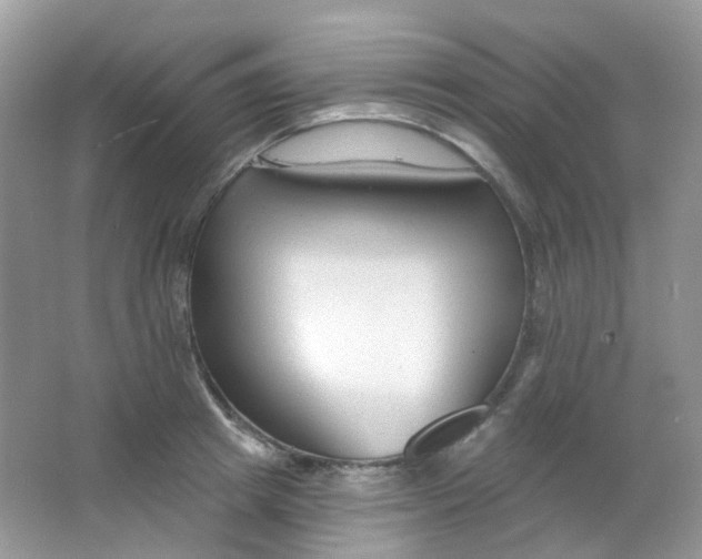 X0000065950849200603241819