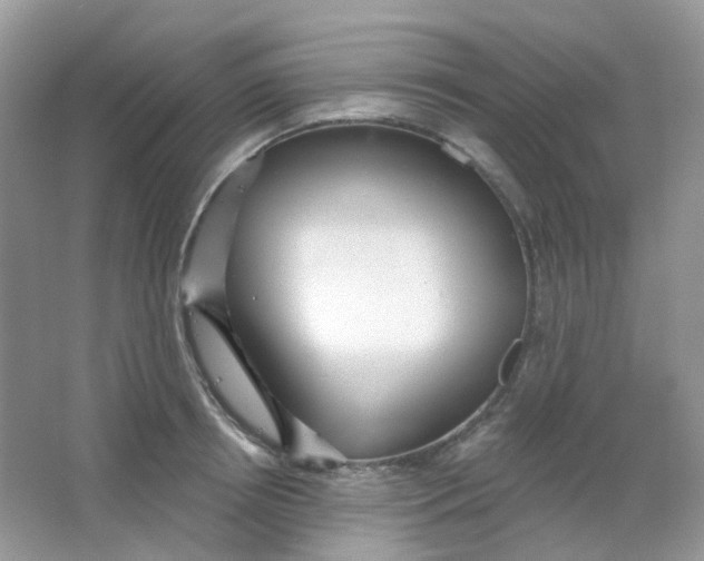X0000065950850200603241819
