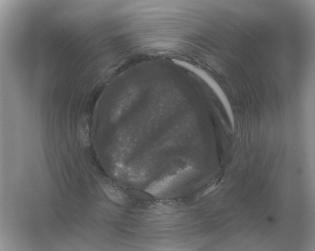 X0000065950868200603241818