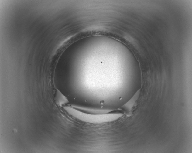 X0000065950872200603241818