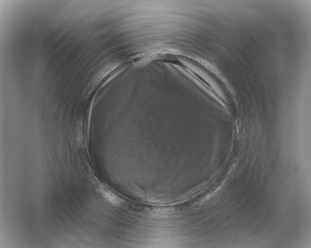 X0000065950889200603241818