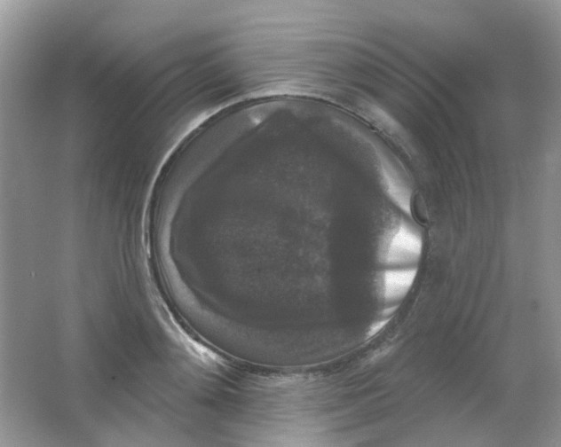 X0000065950892200603241818