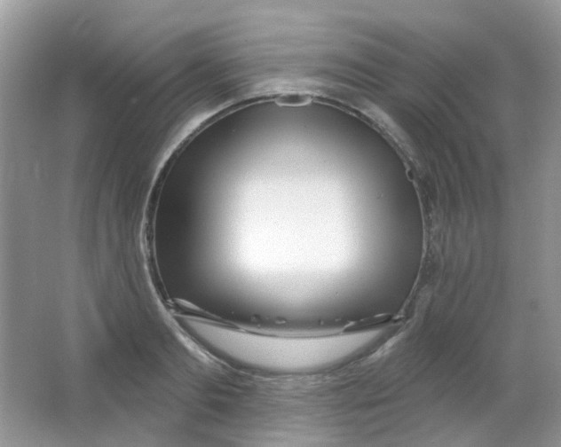 X0000065950893200603241818