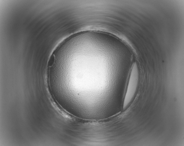 X0000065950896200603241818