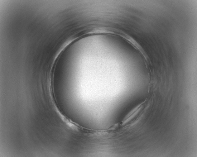 X0000065950909200603241818