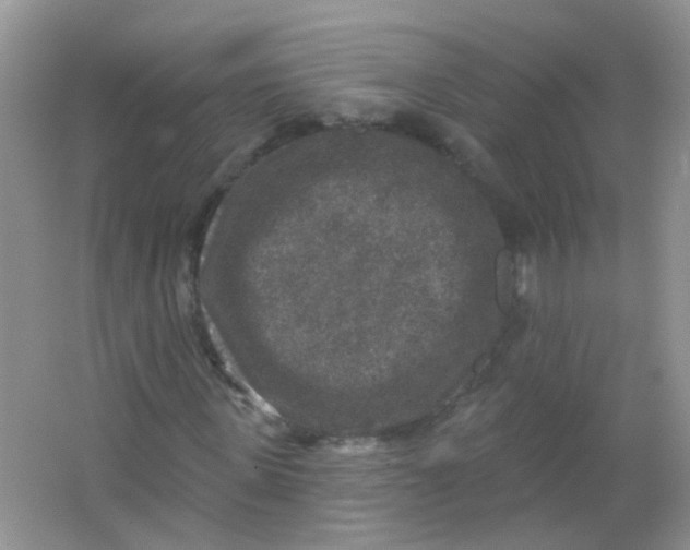 X0000065950915200603241817