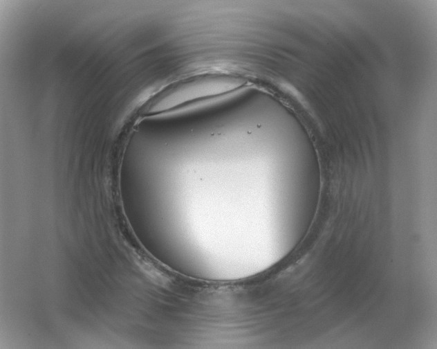 X0000065950922200603241817