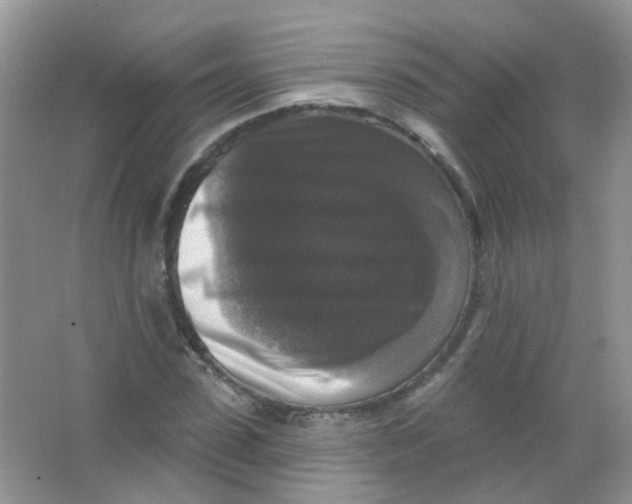 X0000065950923200603241817