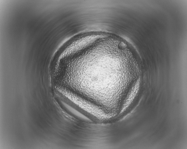 X0000065950925200603241817
