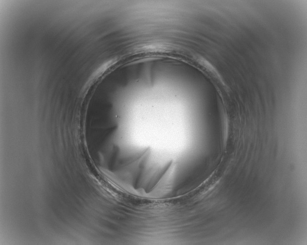 X0000065950930200603241817