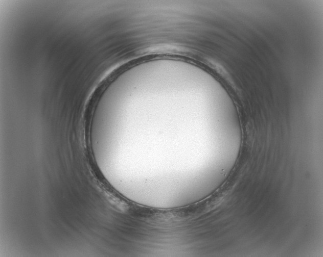 X0000065950931200603241817