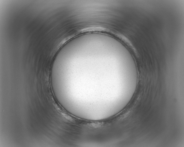 X0000065950937200603241817