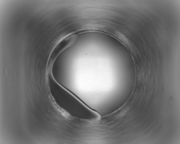 X0000065950940200603241817