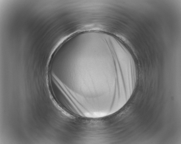 X0000065950941200603241817