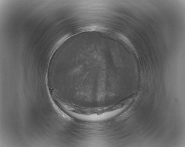 X0000065950946200603241817
