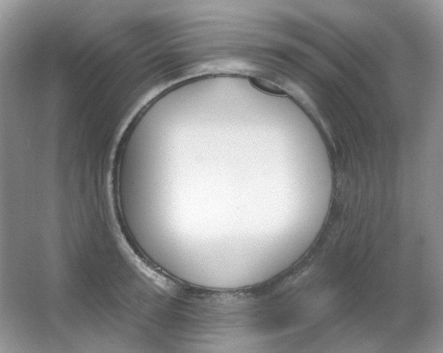 X0000065950947200603241817