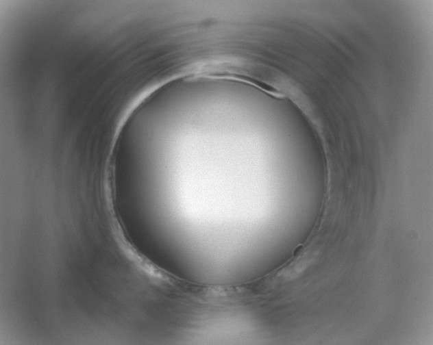 X0000065950960200603241818