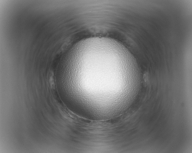 X0000065950963200603241817