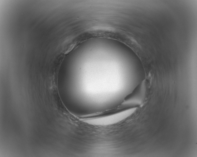 X0000065950965200603241817