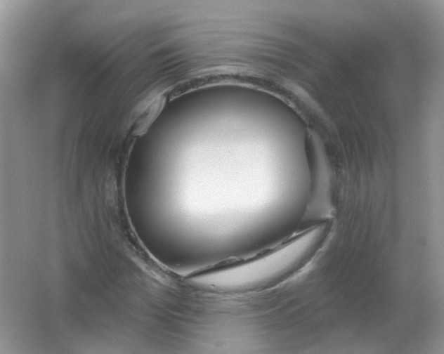 X0000065950969200603241817