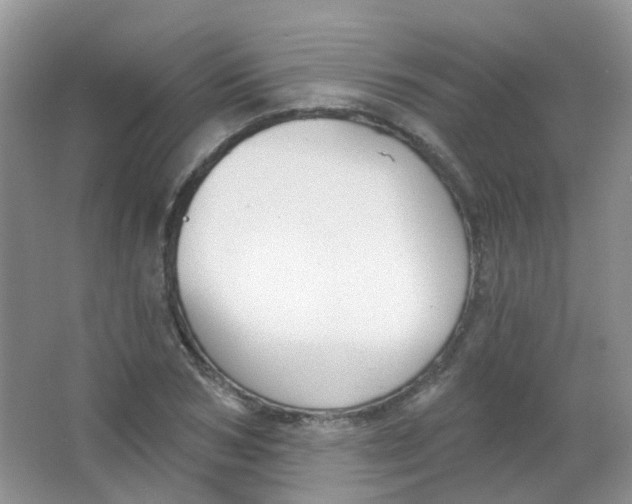 X0000065950978200603241816